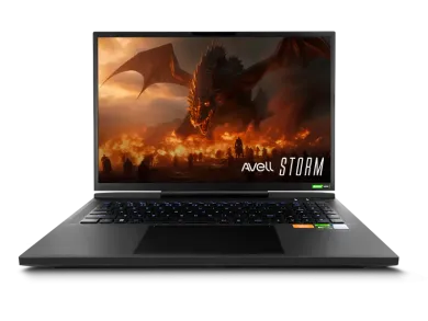 Storm 490