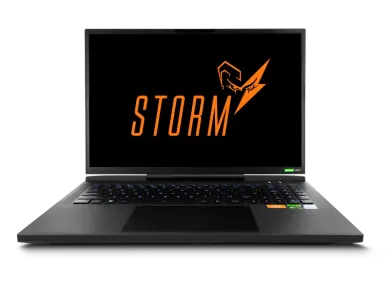 Storm 490