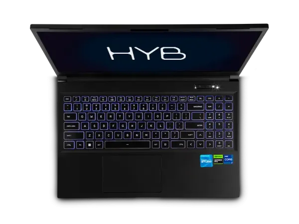 HYB-6.png