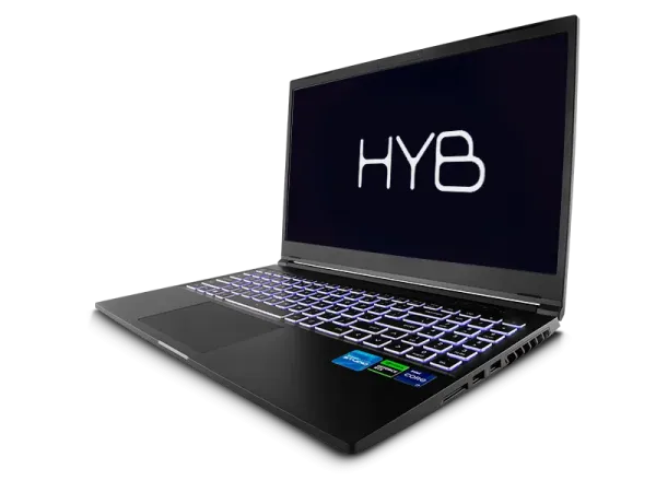 HYB-7.png